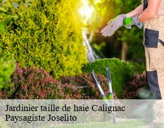 Jardinier taille de haie  calignac-47600 Paysagiste Joselito